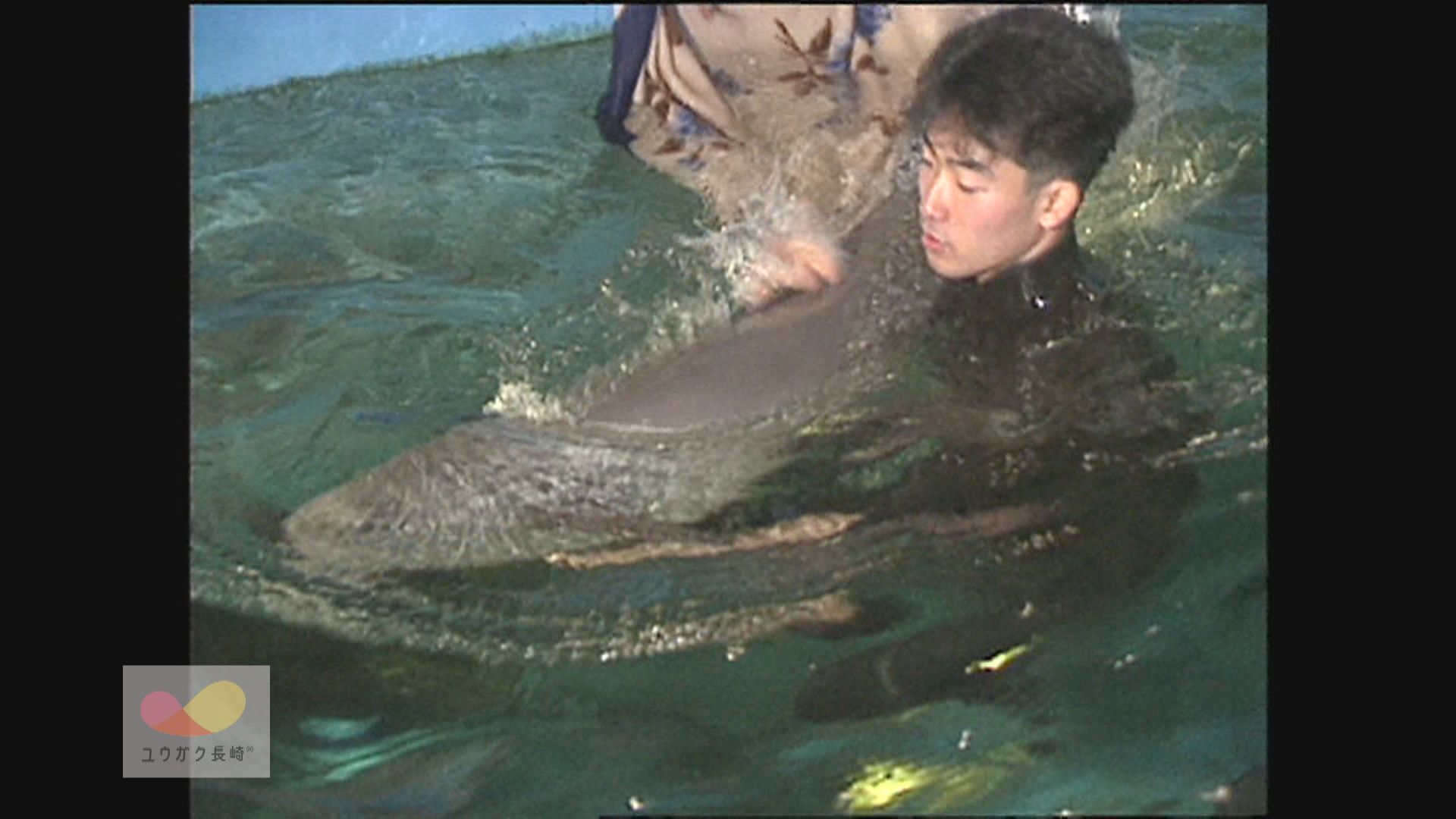 肺炎にかかったスナメリの子ども～ただいま治療中！旧長崎水族館　イメージ